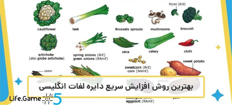 گسترش دایره لغات و اصطلاحات (Vocabulary & Idioms